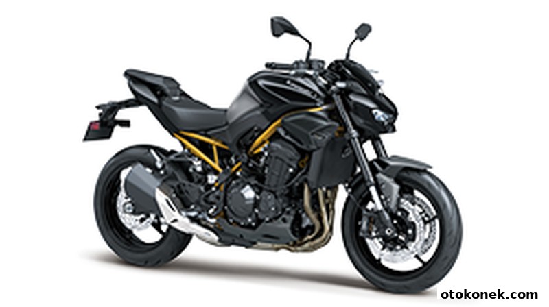 Kawasaki Z900