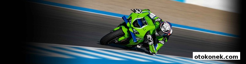 Kawasaki Ninja ZX-10R 2