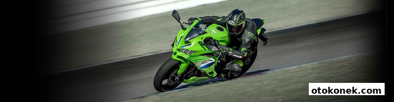 Kawasaki Ninja ZX-4RR 2