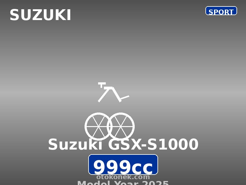 Suzuki GSX-S1000 2