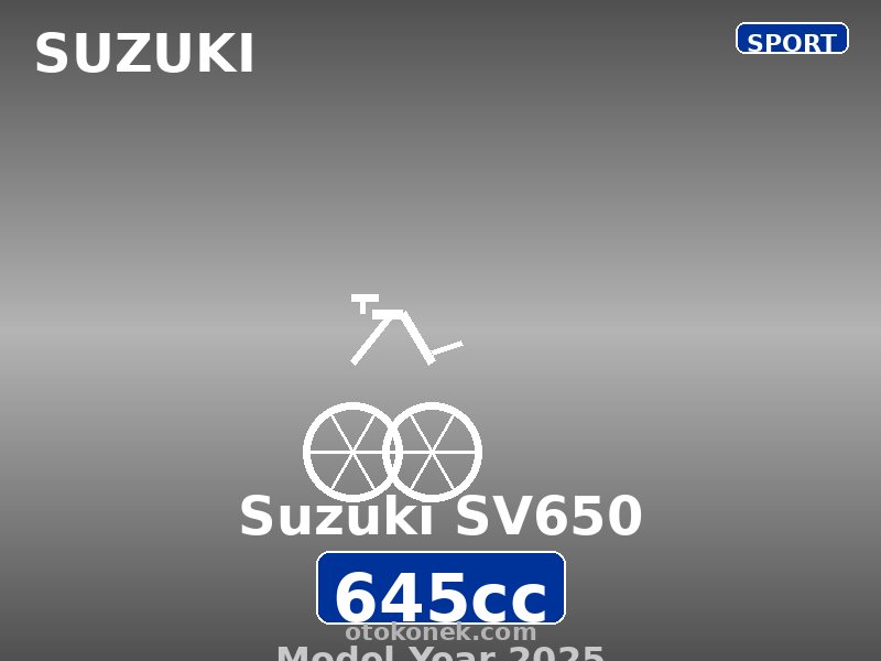 Suzuki SV650 2