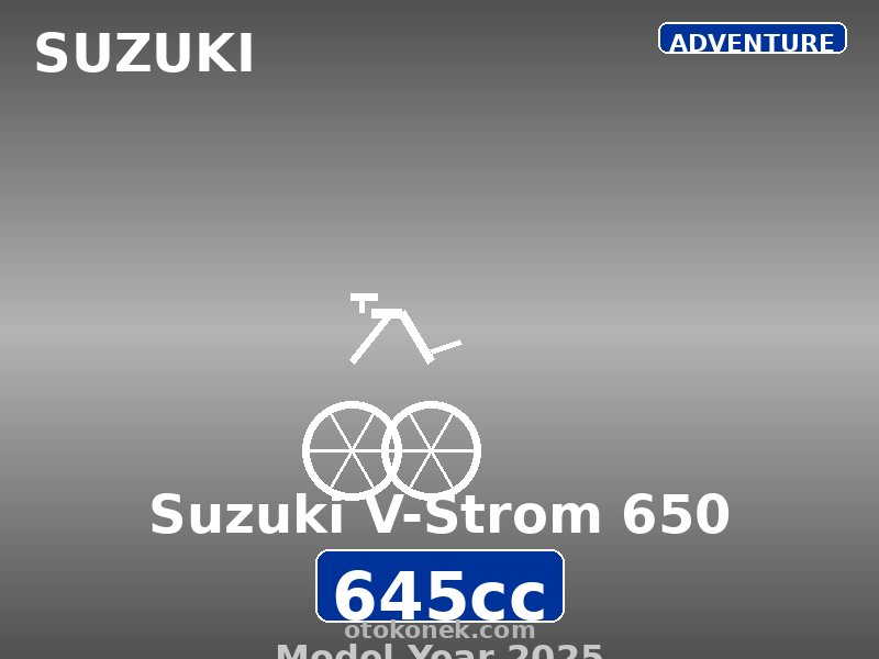 Suzuki V-Strom 650 2