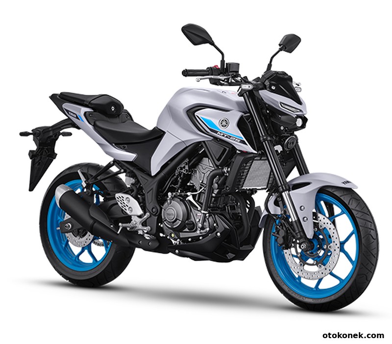 MT-25