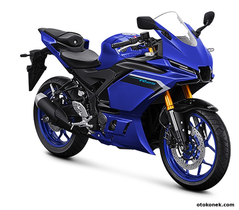 YZF-R25