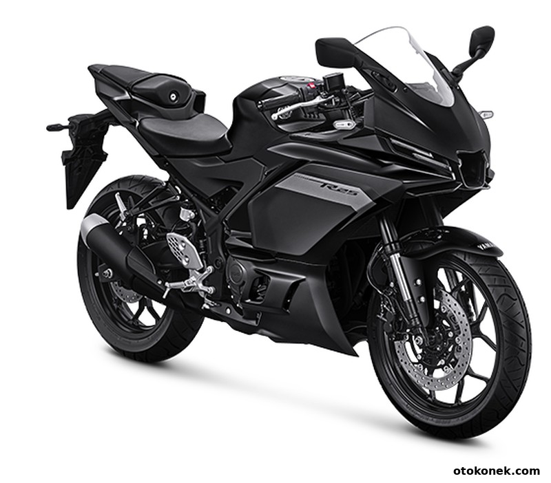 YZF-R25 2